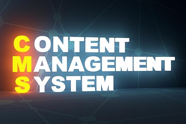 Business Website Content Management System